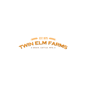 Logo Design by ESolz Technologies