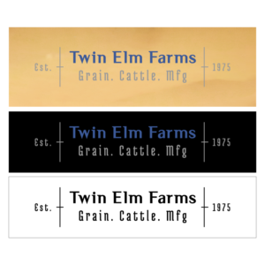 Logo Design by anang3