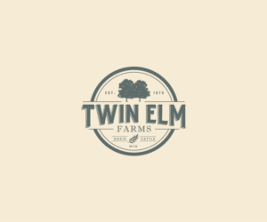 Logo Design by thom85