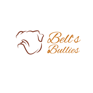 Design de Logo par GraphicLaboratory pour Bell's Bullies | Design #20657794