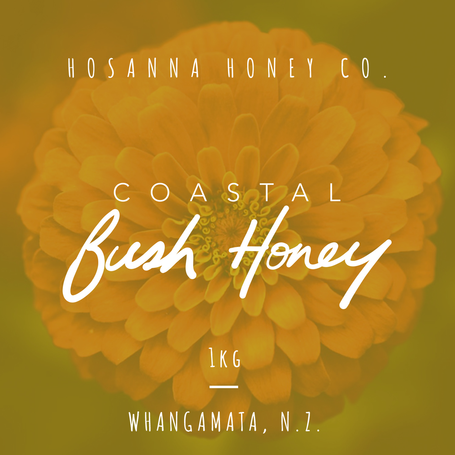 Graphic Design by Design by Belinda Gillies for this project | Design #20668385