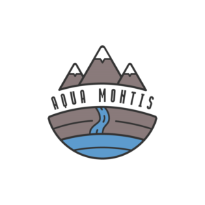 Logo Design by Andrii2907