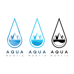 Logo Design by ASP Art 28