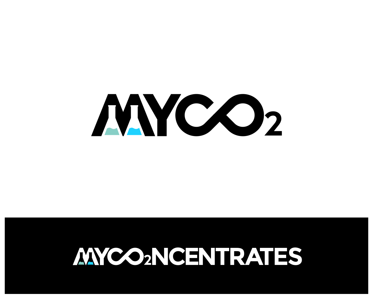 Diseño de Logo por alpino para este proyecto | Diseño #20727546