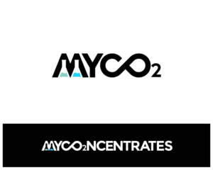 Diseño de Logo por alpino para este proyecto | Diseño: #20727546