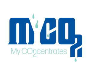 Logo Design by VZH design