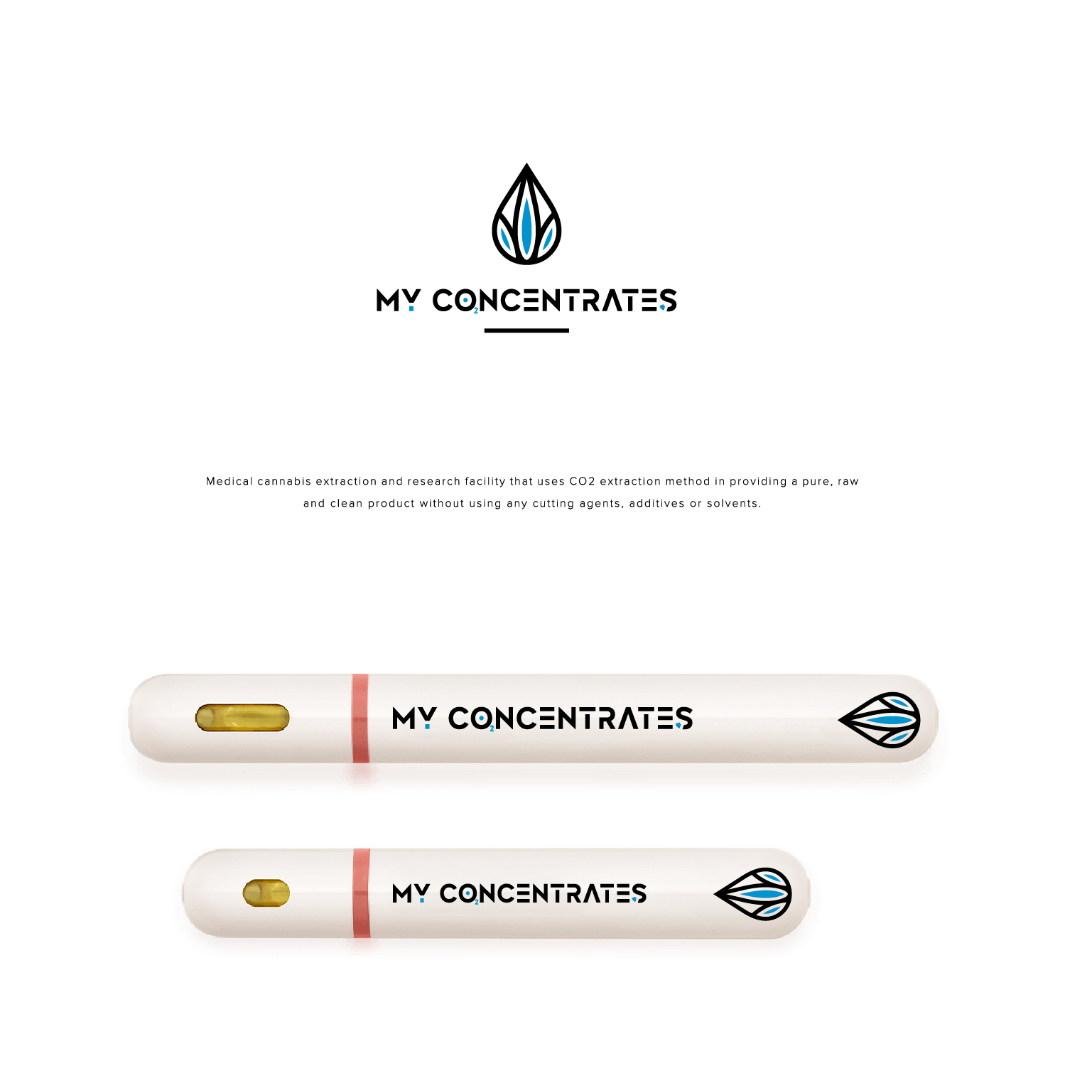 Diseño de Logo por shakuna para este proyecto | Diseño: #20788568