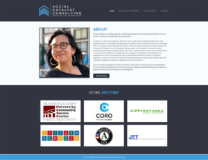 Web Design by Expert Designer for this project | Design: #20666646