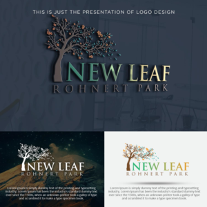 Logo Design by Umairnaseer 2