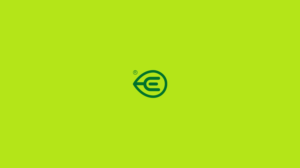 Logo-Design von BASSEM AMER für Vanz Home | Design: #20687149