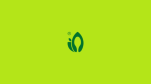 Logo-Design von BASSEM AMER für Vanz Home | Design: #20687160