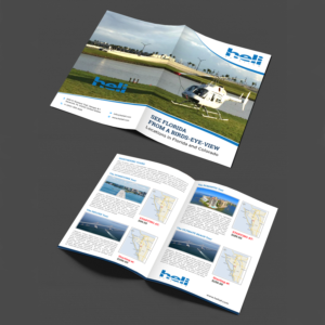Design de Flyer par debdesign pour Heli Aviation Florida, LLC | Design : #20691611