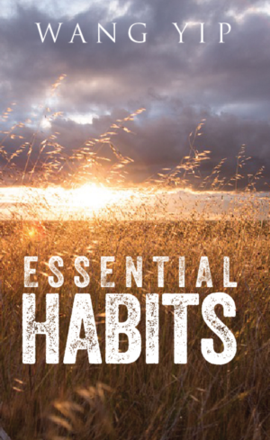 Buchumschlag Design von Sarina.dsg für dieses Projekt | Design: #20674408