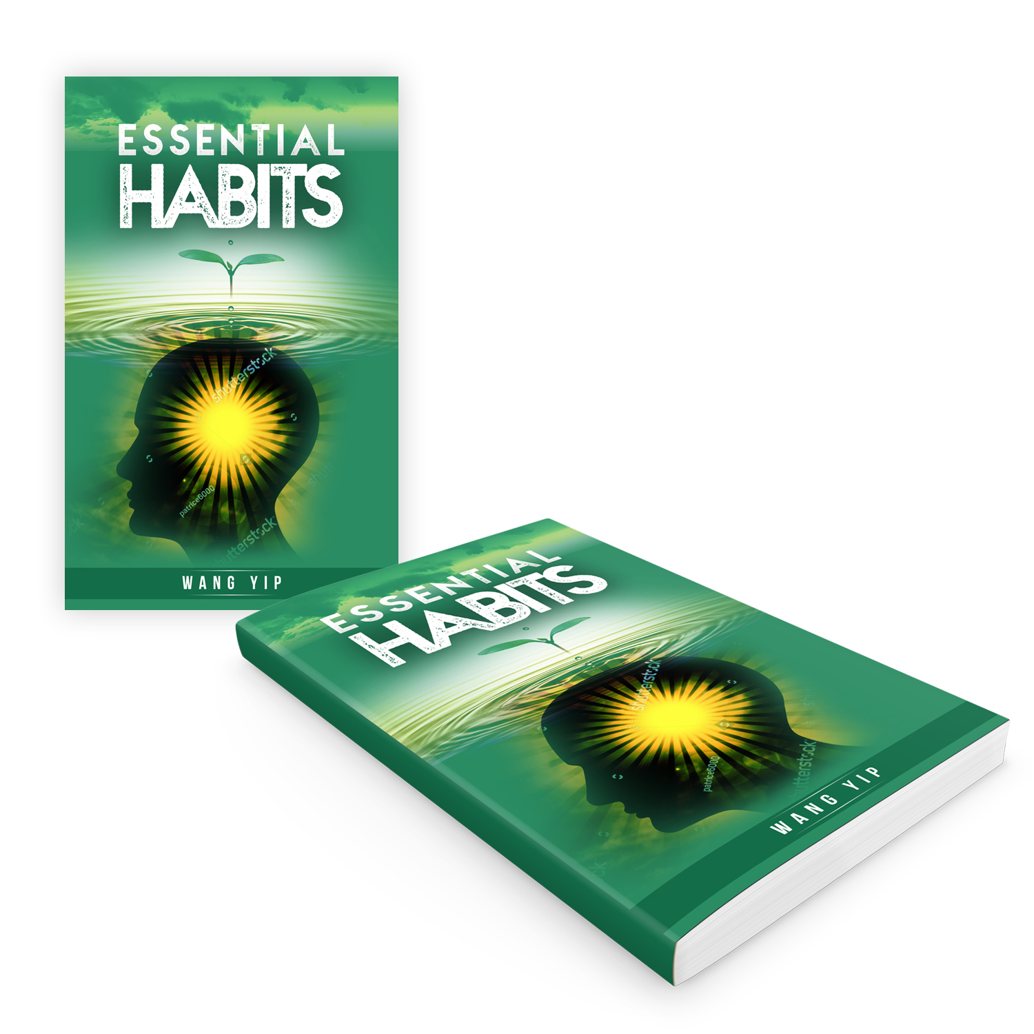 Book Cover Design by Maxo-Biz for this project | Design #20693328