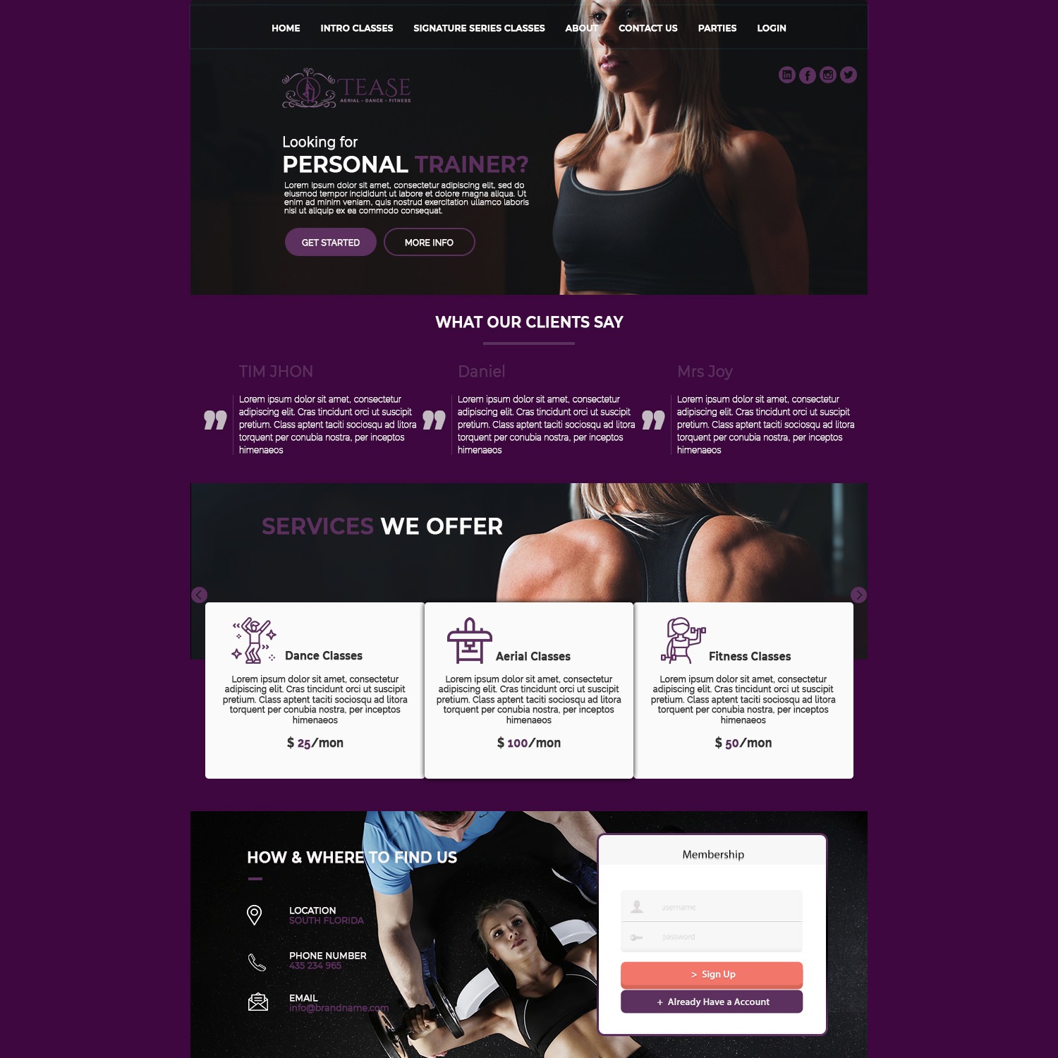 Diseño Web por Epic Web Designer para Tease Dance and Fitness | Diseño #20676052