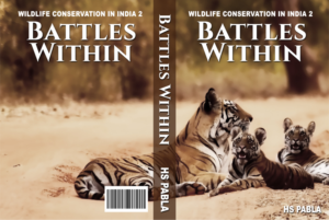 eBook Cover Design by Jessymae 2