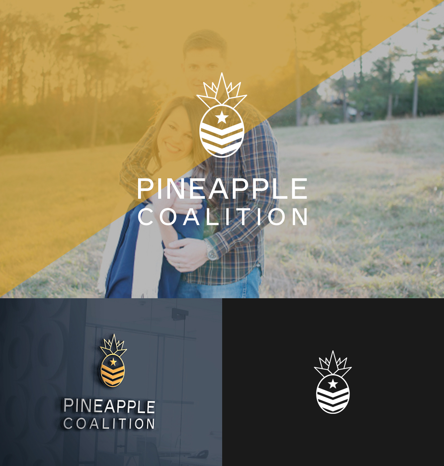 Logo Design by rivemediadesign for CrossFit Pineapple  | Design #20712468