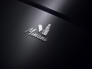 Logo Design by Zeeshan Ali for Minani | Design: #20681945