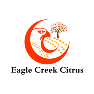 Logo Design by ochaTheAngel