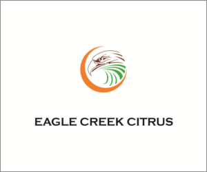 Logo Design by Surat Yasin