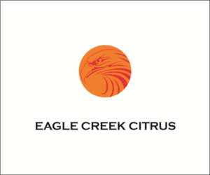 Diseño de Logo por Surat Yasin para este proyecto | Diseño: #20682547