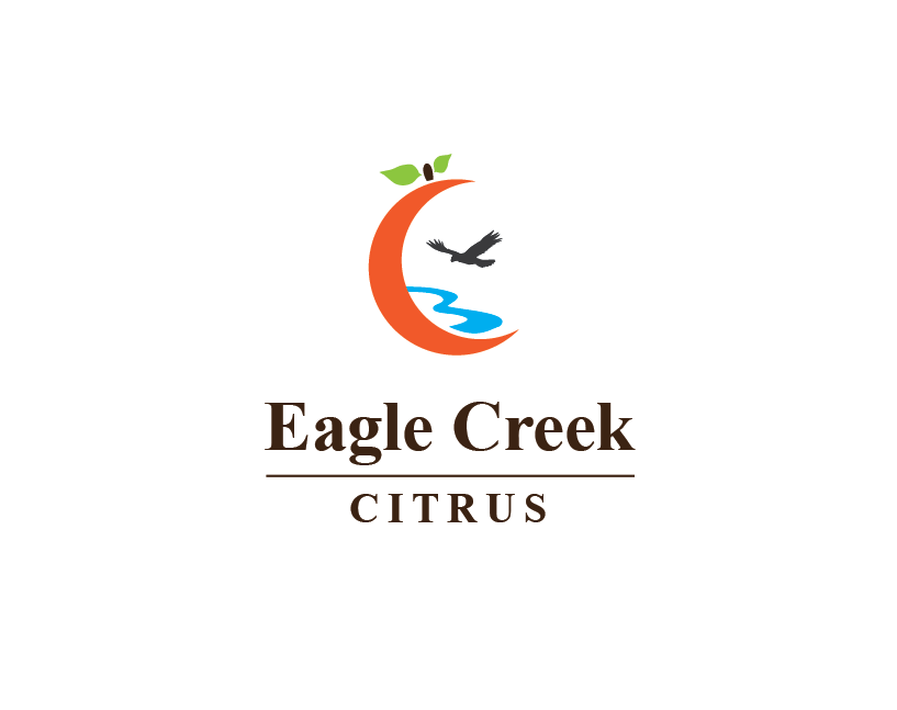 Logo Design by jose_luiz for this project | Design #20675141