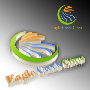Logo Design by Macholicious
