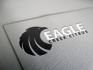 Logo Design by Guddu Kumar