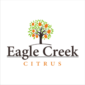 Logo Design by Nikunj Gupta