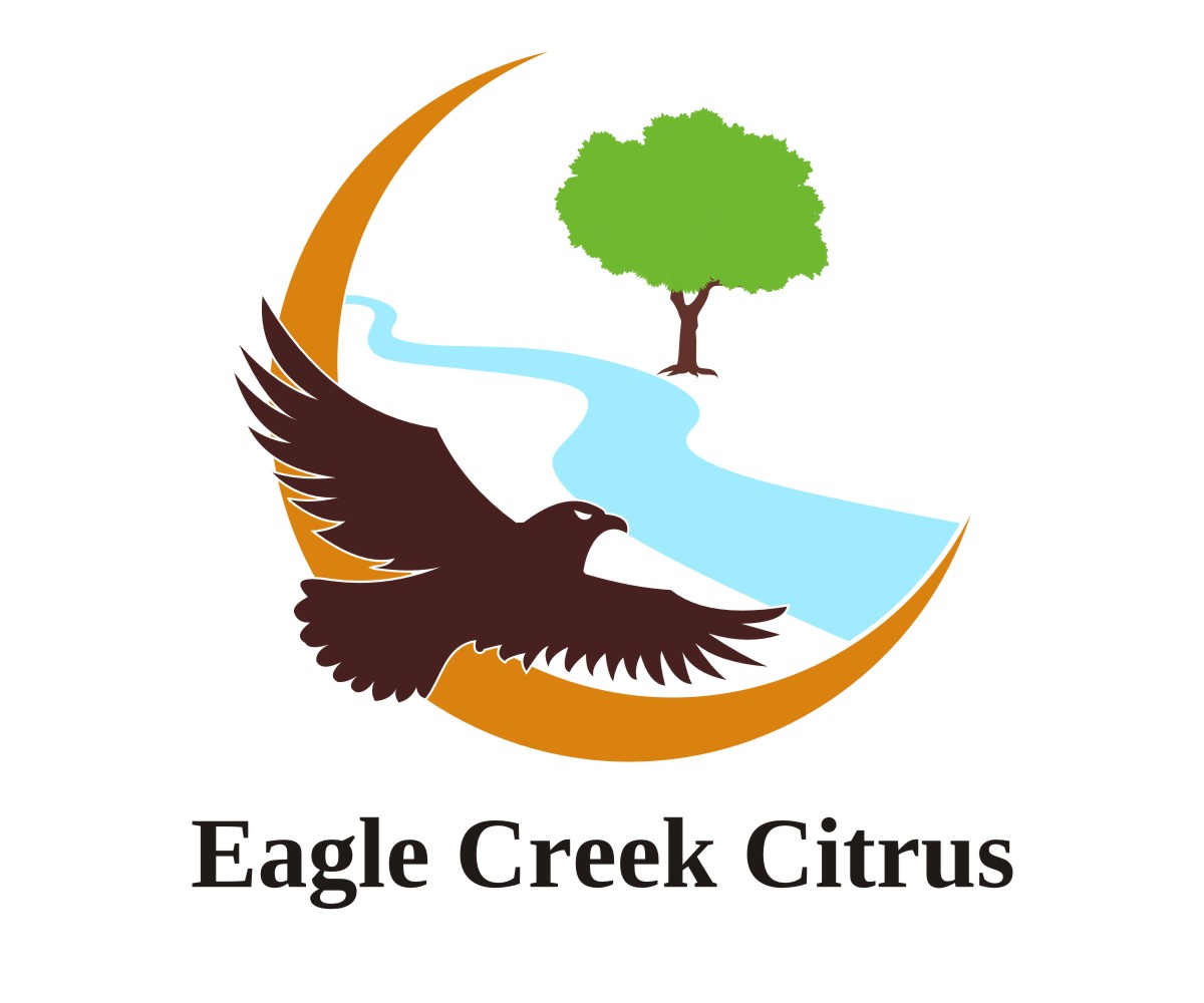 Logo Design by ammar_ed for this project | Design #20675602