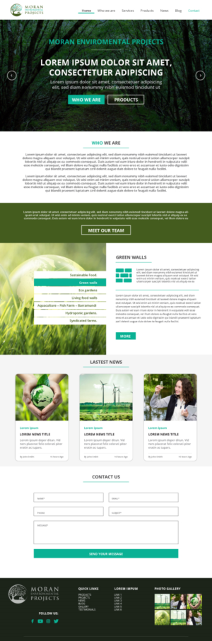 Moran Environmental Projects New Website Design | Web-Design von lionx