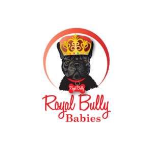 Logo Design by Archaeologo