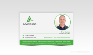 Business Card Design by Pointless Pixels India for Amerigo Property Inspections, LLC | Design #20684355