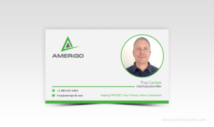 Business Card Design by Pointless Pixels India for Amerigo Property Inspections, LLC | Design: #20684357
