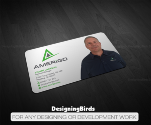 Design de Carte de Visite par Designing Birds pour Amerigo Property Inspections, LLC | Design : #20684122