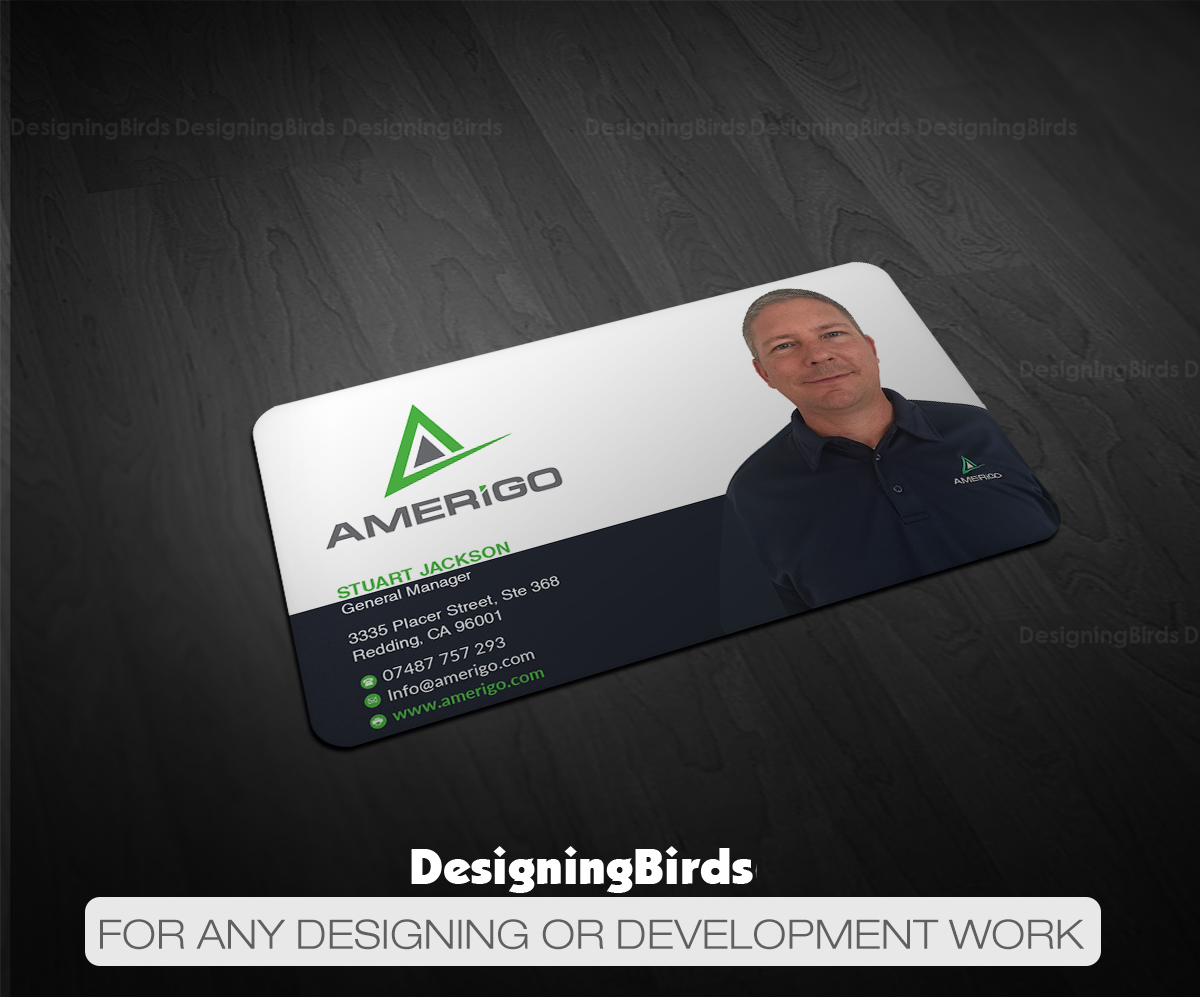 Design de Carte de Visite par Designing Birds pour Amerigo Property Inspections, LLC | Design #20687043
