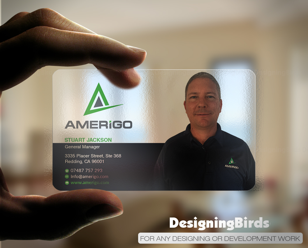 Business Card Design by Designing Birds for Amerigo Property Inspections, LLC | Design #20687138