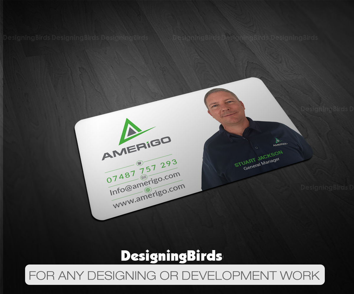 Business Card Design by Designing Birds for Amerigo Property Inspections, LLC | Design #20687324