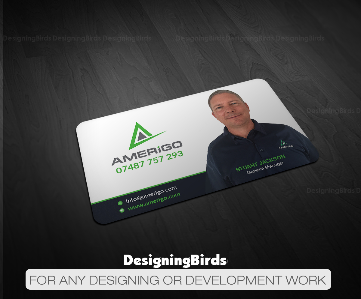 Business Card Design by Designing Birds for Amerigo Property Inspections, LLC | Design #20687350