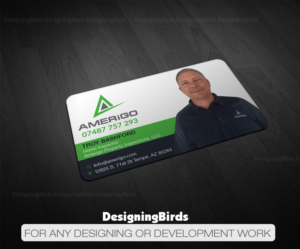 Design de Carte de Visite par Designing Birds pour Amerigo Property Inspections, LLC | Design : #20699669