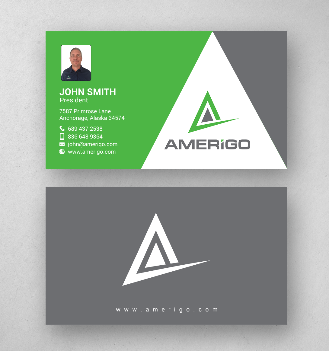 Business Card Design by chandrayaan.creative for Amerigo Property Inspections, LLC | Design #20694671