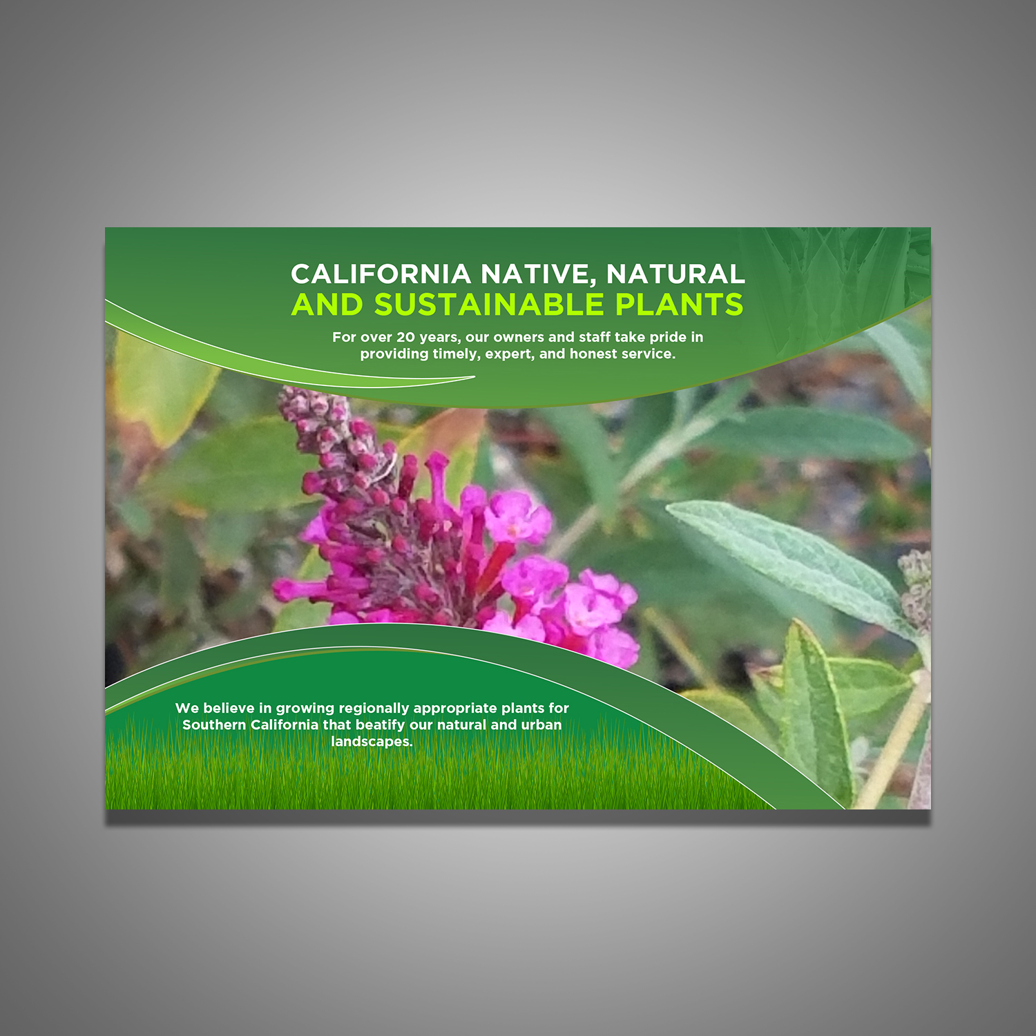 Werbe-Design von debdesign für dieses Projekt | Design #20695007