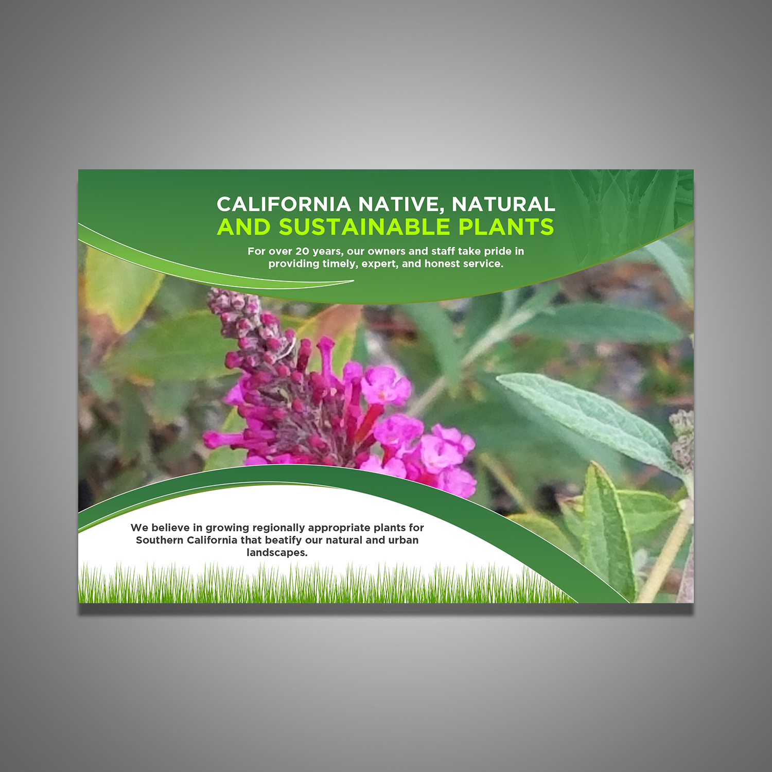 Werbe-Design von debdesign für dieses Projekt | Design #20695008