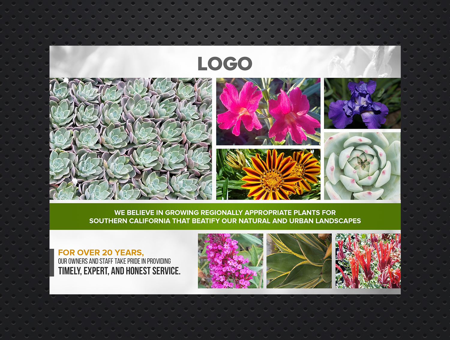 Design Publicitaire par creative.bugs pour ce projet | Design #20691562