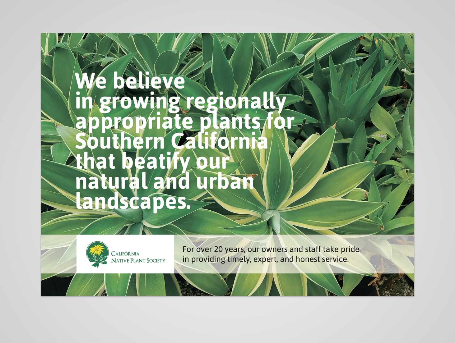 Advertisement Design by Taya Bright for this project | Design #20716666