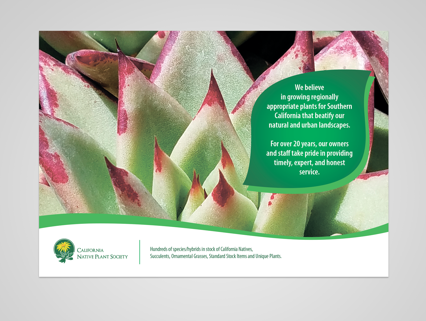 Werbe-Design von Taya Bright für dieses Projekt | Design #20716668