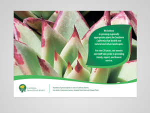 Design Publicitaire par Taya Bright pour ce projet | Design : #20716668