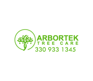 Logo Design by imtiazchowdury for this project | Design #20699083