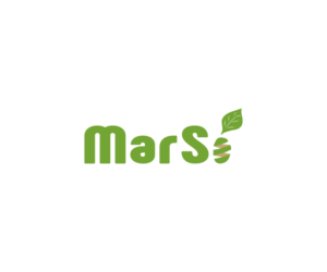 Logo Design by snyjr for this project | Design #20780265