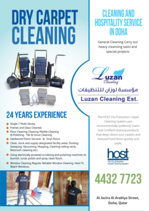 Luzan Cleaning Company Flyer 